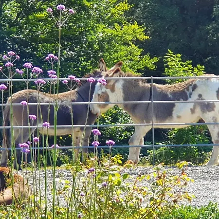 Ballyteige * Ballyteige Bridge