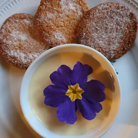 Ballyteige Casa de Campo Ballyteige Bridge