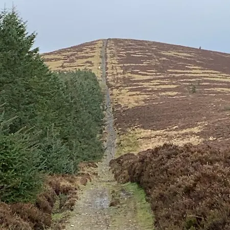 Ballyteige Ballyteige Bridge