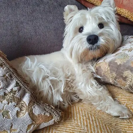 Casa de Campo Ballyteige *