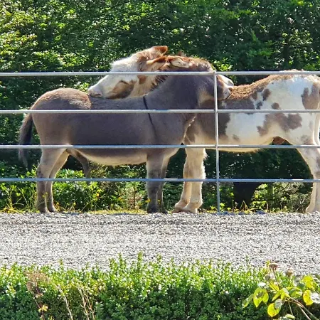 Ballyteige *