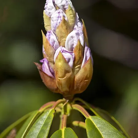 Casa de Campo Ballyteige
