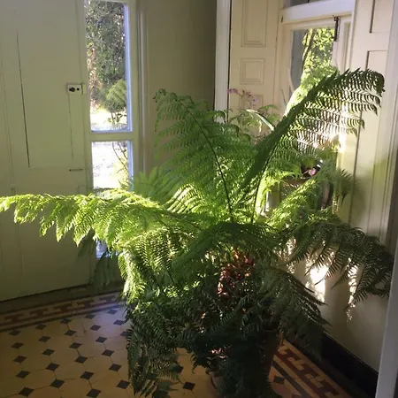 Ballyteige Ballyteige Bridge