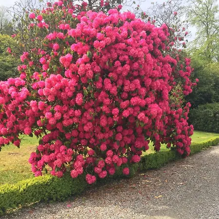 Ballyteige Landhaus Ballyteige Bridge