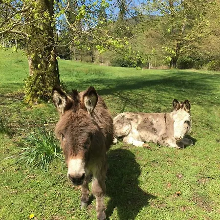 Ballyteige Landhaus *