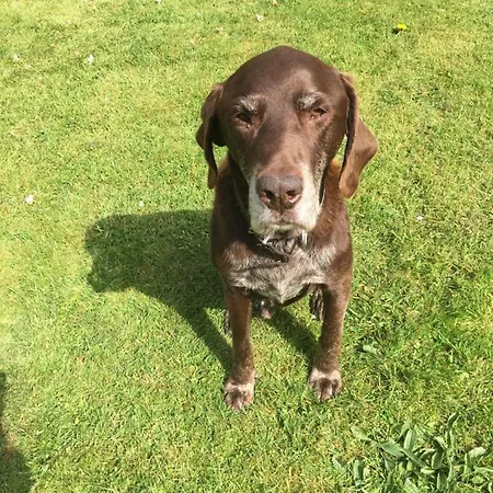 Ballyteige Casa de Campo