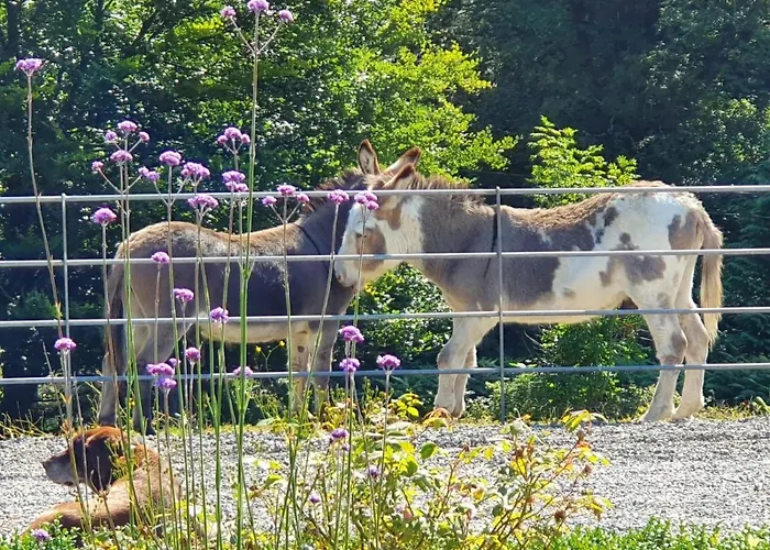 Ballyteige * Ballyteige Bridge