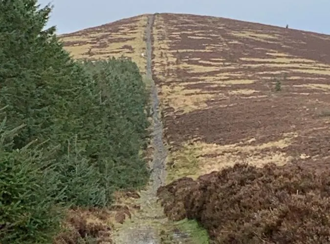 Ballyteige Ballyteige Bridge