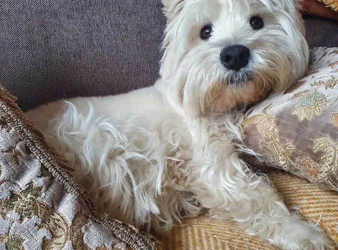 컨트리하우스 Ballyteige *