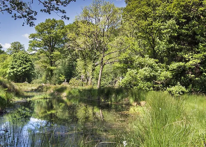 Ballyteige 컨트리하우스 Ballyteige Bridge