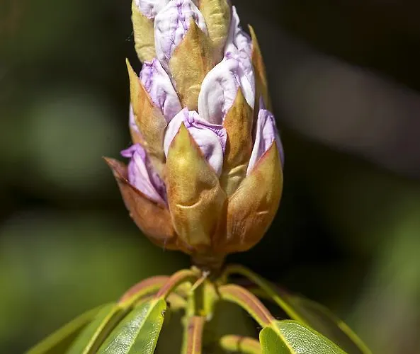 컨트리하우스 Ballyteige