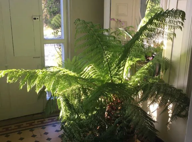 Ballyteige Ballyteige Bridge