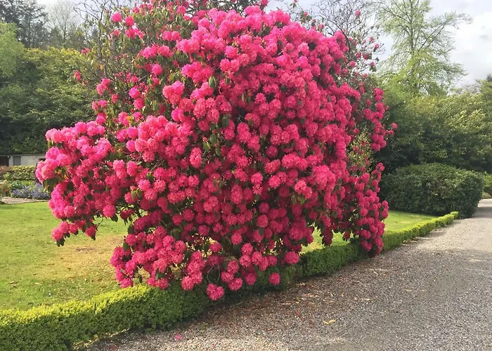Ballyteige Landhuis Ballyteige Bridge