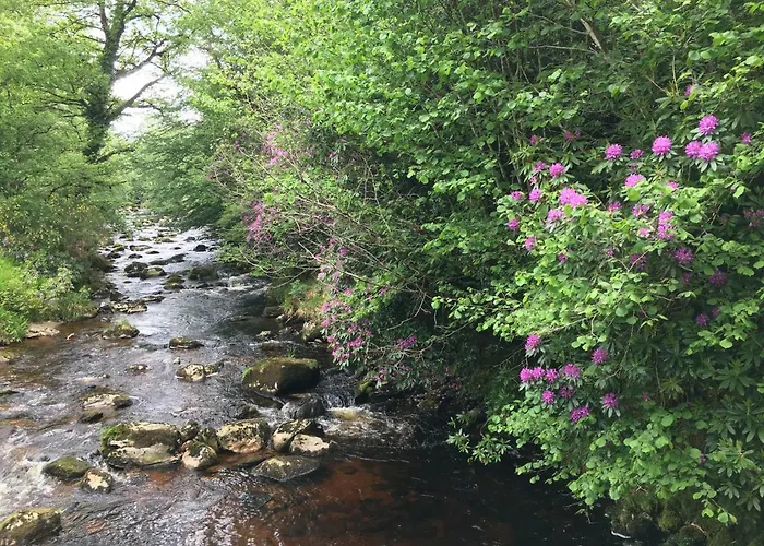 Landhuis Ballyteige *