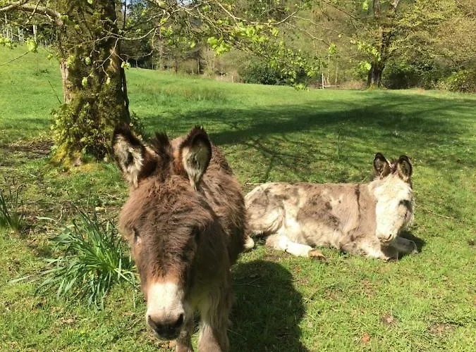 Ballyteige Landhuis *