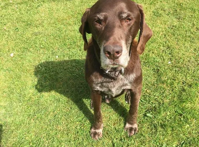 Ballyteige 컨트리하우스